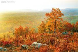 秋意正濃時 秋意正濃時