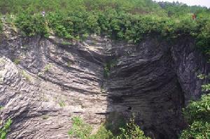 通天籮原始森林