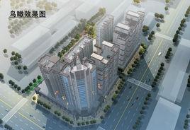 道和世家 道和世家