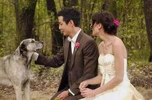 吳彥祖與Lisa.S南非婚禮