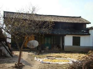 樹子臥村 樹子臥村