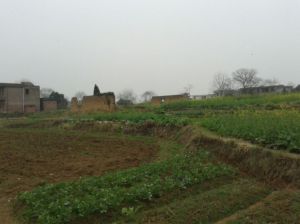 秧地塘村 秧地塘村