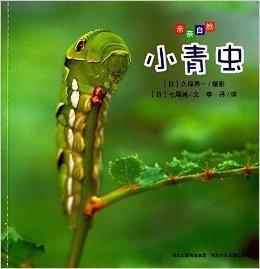 親親自然:小青蟲 親親自然:小青蟲