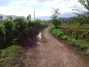 大場壩村 大場壩村