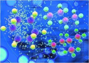 營養細胞 營養細胞