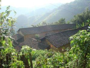 張家坡自然村 張家坡自然村