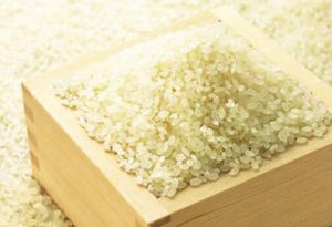 京租稻米 京租稻米