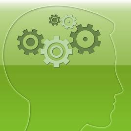 多貯存模型 多貯存模型