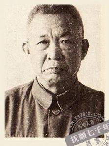 王振海[中國煤炭地質總局原黨委書記]