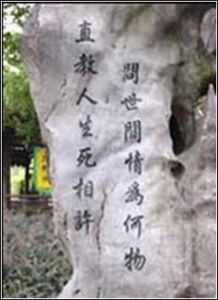 問世間情為何物,直教人生死相許 問世間情為何物,直教人生死相許