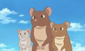 川之光[NHK出品的動畫]