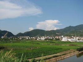 二村[浙江省嵊州市谷來鎮下轄村]