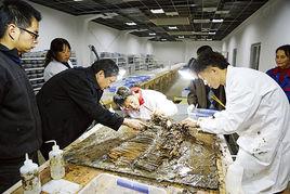 江西省文物保護中心 江西省文物保護中心