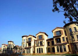 星耀五洲 星耀五洲