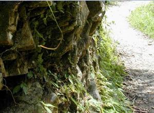 花蓮神秘谷一覽