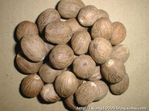 肉豆蔻丸 肉豆蔻丸