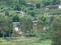 李山頭自然村 李山頭自然村