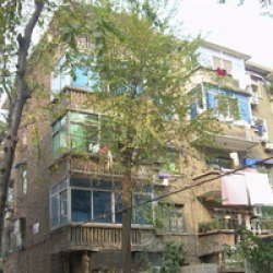 朝暉八區 朝暉八區