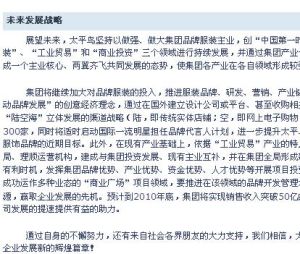 太平鳥集團有限公司