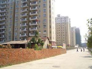 地龍·常春藤名苑 地龍·常春藤名苑