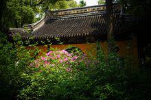 西園寺[日本京都市西園寺]