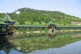 杭州東方文化園