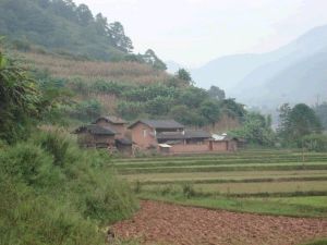 文杏自然村 文杏自然村