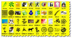 你甚至可以將任何其他檔案編碼成為筆刷檔案,色彩風暴創造性地採用了灰度轉換技術將圖像轉換為筆刷.