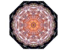 相似性[數學概念]