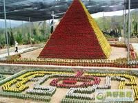 南天生態大觀園 南天生態大觀園