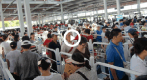 醫院排隊手機視頻監控