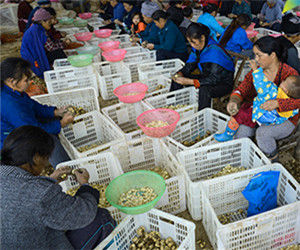 剩餘勞動力 剩餘勞動力
