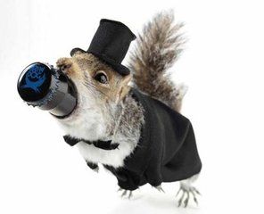 動物屍體酒瓶 動物屍體酒瓶