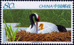 《向海自然保護區》特種郵票 《向海自然保護區》特種郵票