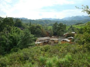 畜牧場村 畜牧場村