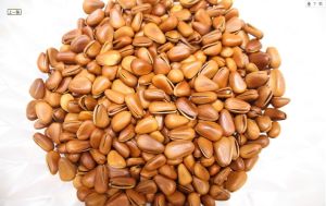 伊春松子 伊春松子