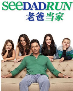 老爸當家[希恩·安德魯斯執導電影]