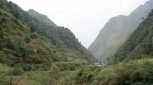 小山腦自然村 小山腦自然村