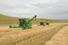 吐列毛都農場 吐列毛都農場