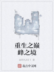 重生之巔峰之境 重生之巔峰之境