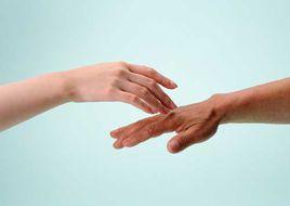 溫柔的雙手 溫柔的雙手