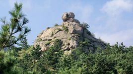 青島湖濱生態園 青島湖濱生態園