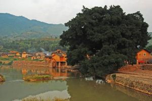 南靖土樓國家森林公園