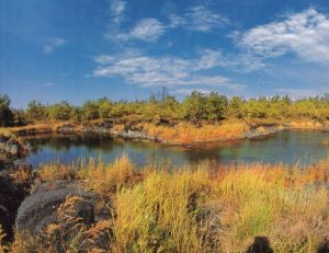 哈泥國家級自然保護區 哈泥國家級自然保護區