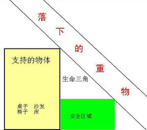 生命三角 生命三角