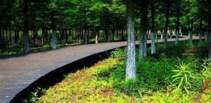 前衛生態村 前衛生態村