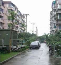 國權北路413弄 國權北路413弄