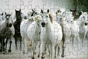 萬馬奔騰拼圖 萬馬奔騰拼圖