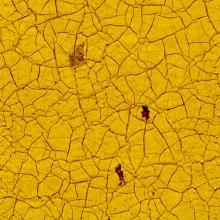 斑駁氣孔 斑駁氣孔