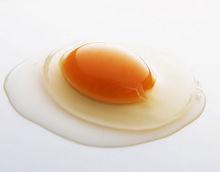生雞蛋[雞卵]
